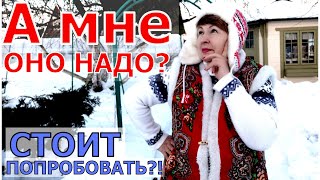 Новая авантюра? Или надо поробовать, чем все время откладывать. Жду ваших советов