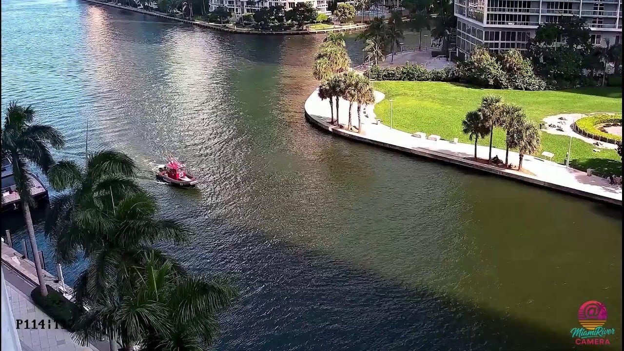 Miami River to Biscayne Bay Live Camera live camera thumbnail