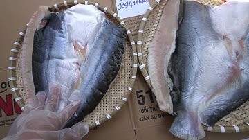 Cách hay phân biệt cá dứa 1 nắng và cá ba sa 1 nắng