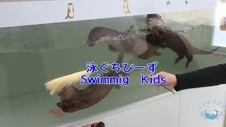 泳ぐちびーず　Swimmig　Kids