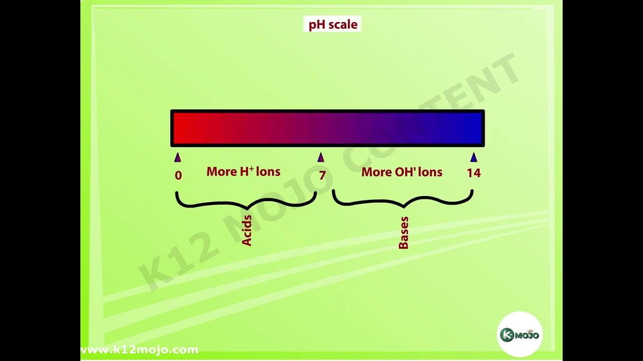 Understanding The Difference Between Acid And Base Class 10 Science Understanding The Difference Between Acid And Base Class 10 Science