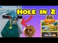 Got this cool hole in2 on snowy valley golf battle