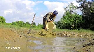 Amazing Boy Catching Giant Big Fish By Mud In The Dry Season