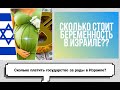 БЕРЕМЕННОСТЬ В ИЗРАИЛЕ // ПРОВЕРКИ, СКРИНЫ// ЦЕНА И СТОИМОСТЬ // СКОЛЬКО ПЛАТИТ ГОСУДАРСТВО??