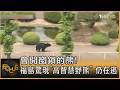 會開窗鎖的熊! 福島驚現「高智慧野熊」 仍在逃｜方念華｜FOCUS全球新聞20260608 @TVBSNEWS01