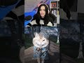 There's so many cats, I love it
