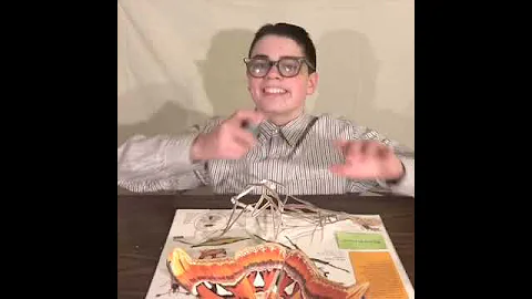 When your teacher chooses your partners