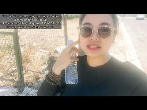 Video VLOG 305 : MUA NHÀ 8 TỶ NHẬN THƯỜNG TRÚ 3 THẾ HỆ ĐẢO... - youtube