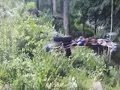 AP - Teenager in trouble after posting video online of gun-firing drone