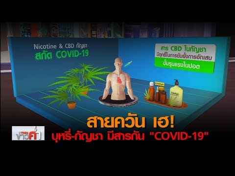 สายควันเฮ! บุหรี่-กัญชา มีสารป้องกัน “โควิด-19” | 30 เม.ย. 63 | TNN ข่าวค่ำ