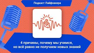 4 причины, почему мы учимся, но всё равно не получаем новых знаний | Подкаст Лайфхакера