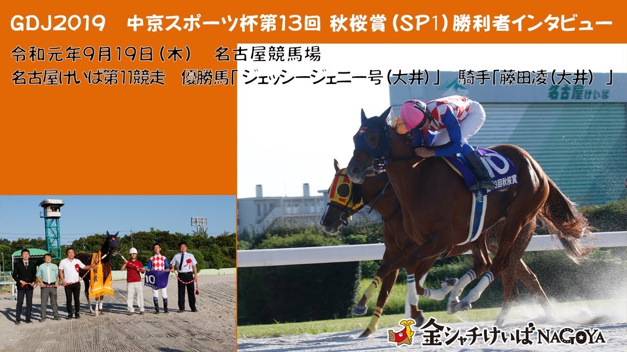 第13回秋桜賞 Sp の結果 ニュース一覧 金シャチけいばnagoya