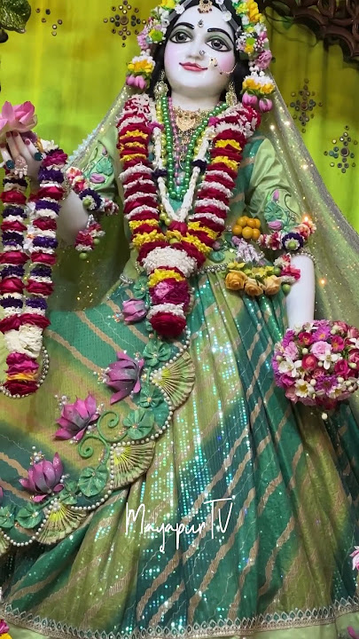 Today’s Darshan of Sri Sri Radhamadhava and Sri Sri Panchatattva