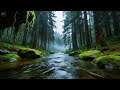 Tropical River Sounds for Deep Relaxation and Sleep | Peaceful Jungle Ambience