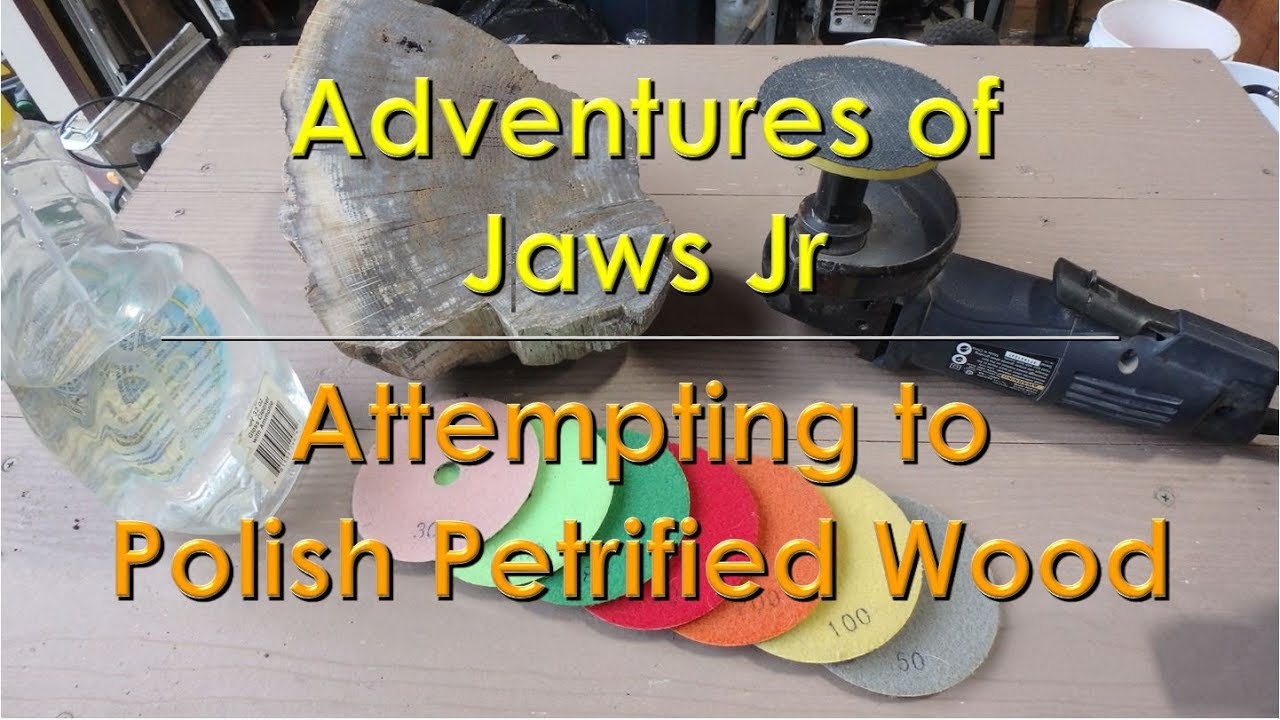 Attempting to polish petrified wood YouTube