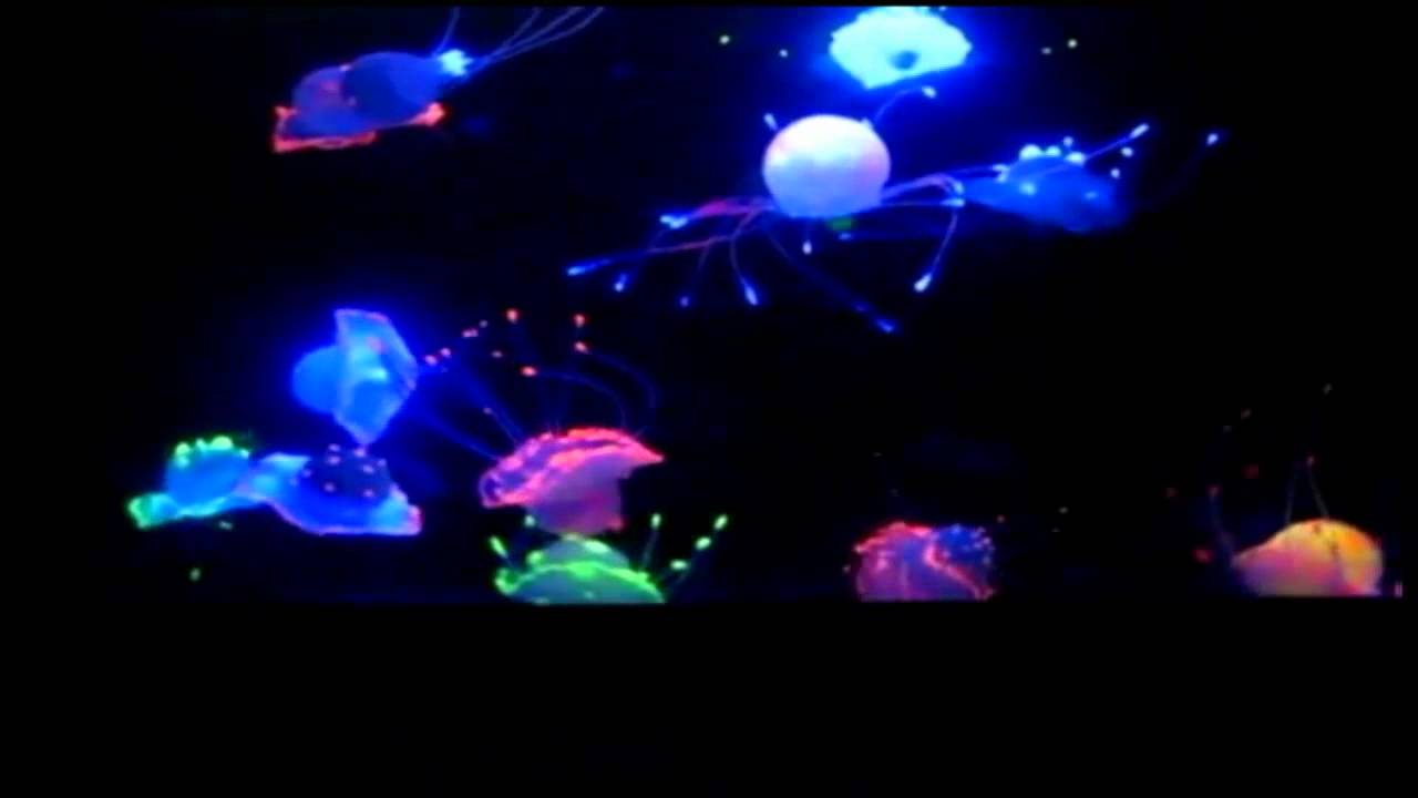 Magic Jellyfish Aquarium-Innovatoys.mp4