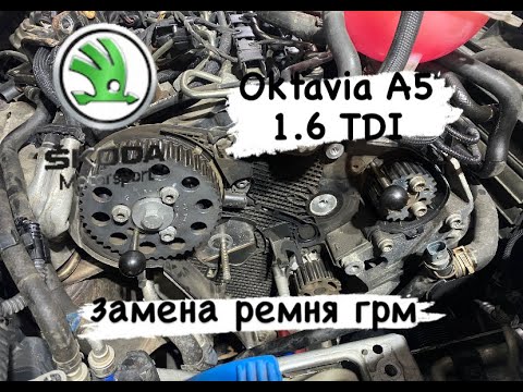 Skoda Oktavia A5 1.6 / 2.0 TDI Замена ремня ГРМ. Быстро, легко и подробно!!!