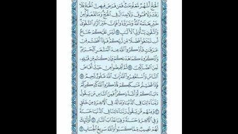 سورة البقرة ( 197 ـ 202 ) محمد صديق المنشاوي ( 31 )