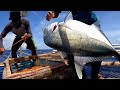 CATCH & COOK  SA LAUT + SELL (KITANG DI-LUBID EPISODE 7)