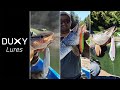 3 Pike Fish Catch With DUXY Jerk Lures