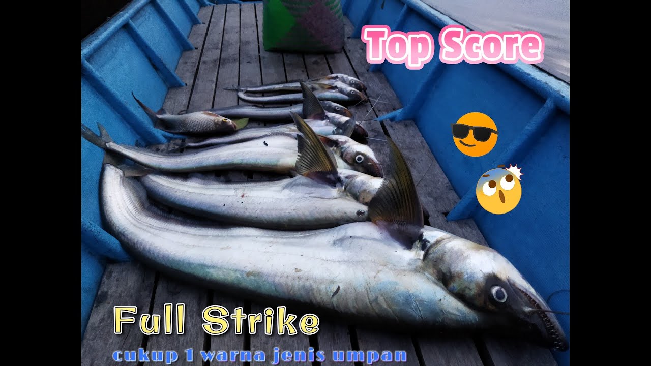 BERLIMPAH.!! FULL strike AUTO panen lais tembiring!!