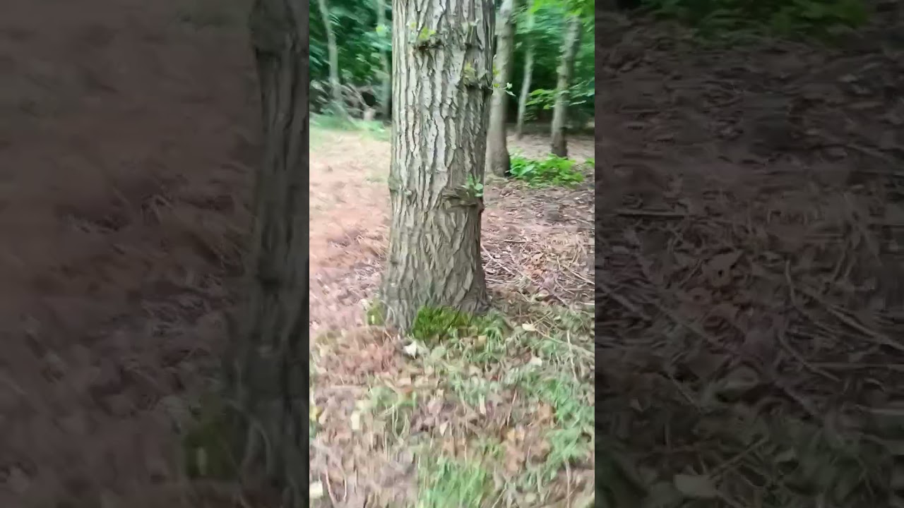 Phoebe Woods Off Road Adventure Alber e-fix 35