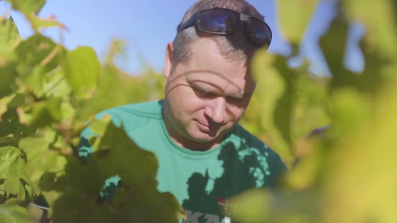 Introducing - Wrights Vineyard & Winery Premium Chardonnay Producer Gisborne, New Zealand