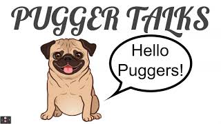 Pugger Talks In This Video. Pugify
