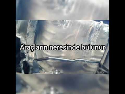 Video: Arabanın CASCO Numarası Nasıl Bulunur