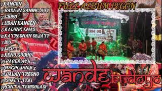 FULL ALBUM PEGON WANDHE BUDOYO LIVE CLUWOK BONO BOYOLANGU