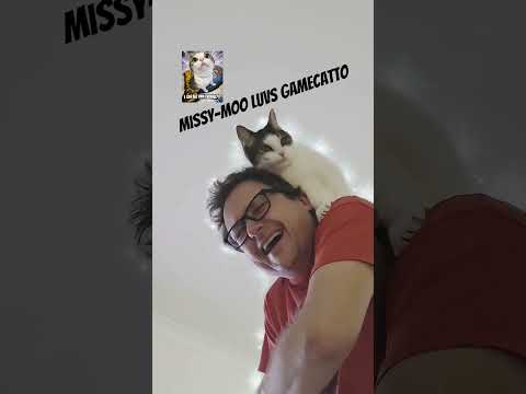 Missy-Moo luvs Gamecatto #cat #catshorts #cats #catvideos #psvr2 #gamecatarmy #gamecatto #catlovers