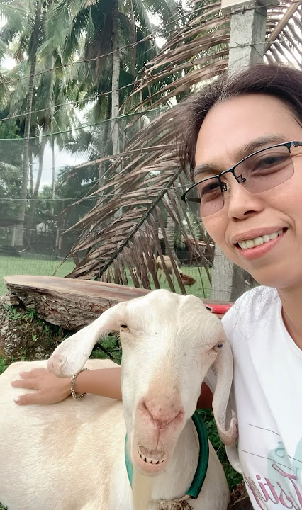 Music tripping with Meli Doe #goat #farming #animals #vibes