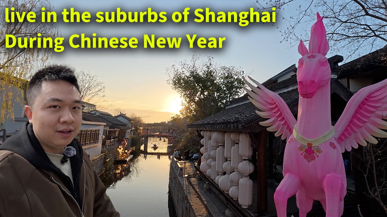 Что можно снять за 1500 долларов в месяц в пригороде Шанхая | 3-комнатная квартира + Китайский Но...