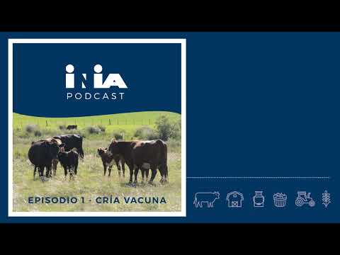 INIA Podcast - EPISODIO 1: Cría Vacuna