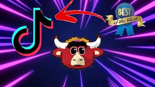 Best of Benny The Bull! TikTok Compilation (Bulls)