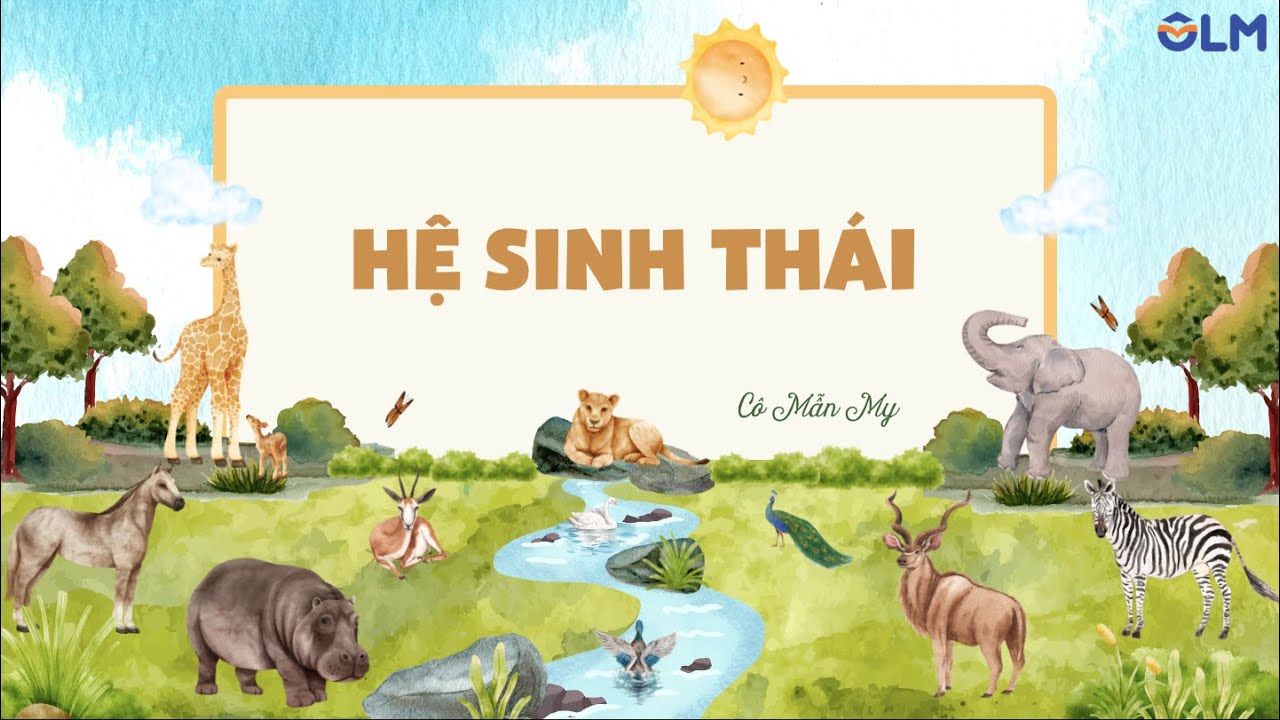 Hệ sinh thái (phần 1) - Khoa học tự nhiên 8 - OLM.VN