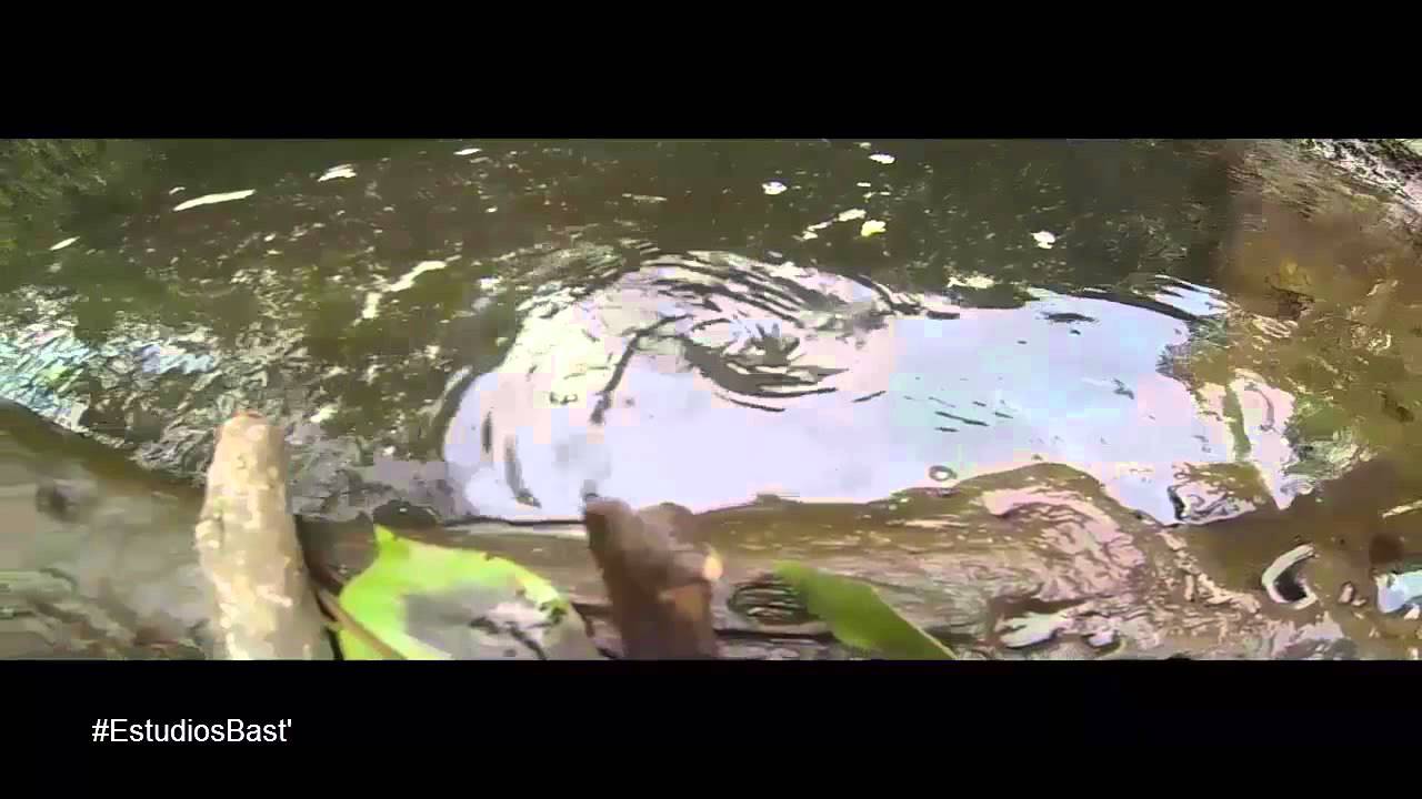 Remolinos de Agua. - YouTube