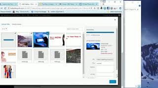Use Gallery Bank Worpress Plugin