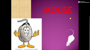 mouse