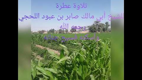 تلاوة أبي مالك صابر بن عبود اللحجي