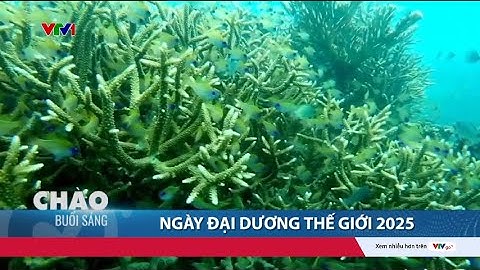 Ngày Đại dương thế giới 2005: Người trẻ - Thế hệ tiên phong bảo vệ biển | VTV24