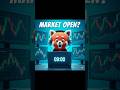 😃💰Stock Market Opening Time🔥❤️ #cutetrading #traderdadi #pandu #billionairemanisha