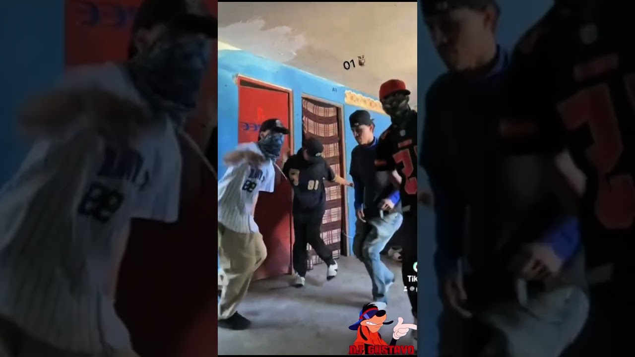 Huapangos mix macheteros 01🦉🔥Dj Gustavo