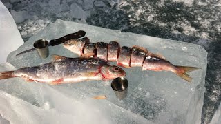 Ice fishing in Siberia!