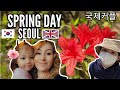 (국제부부) 코로나로 인한 사회적 거리두기 실천~ 봄 브이로그 업데이트! a self isolated spring vlog in South Korea!