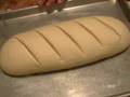Follow the Sourdough  - Day 8: We Bake Bread