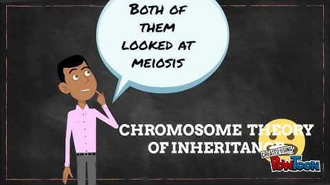 Boveri-Sutton theory