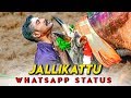 Jallikattu whatsapp status tamil tn63beatz