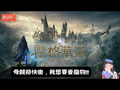 【遊戲直播】祝大家母親節快樂~希望今天可以養魔法寵物(=´ᴥ`)｜霍格華茲的傳承EP09