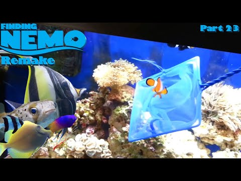 Finding Nemo: The Live Action Remake (Part 23)